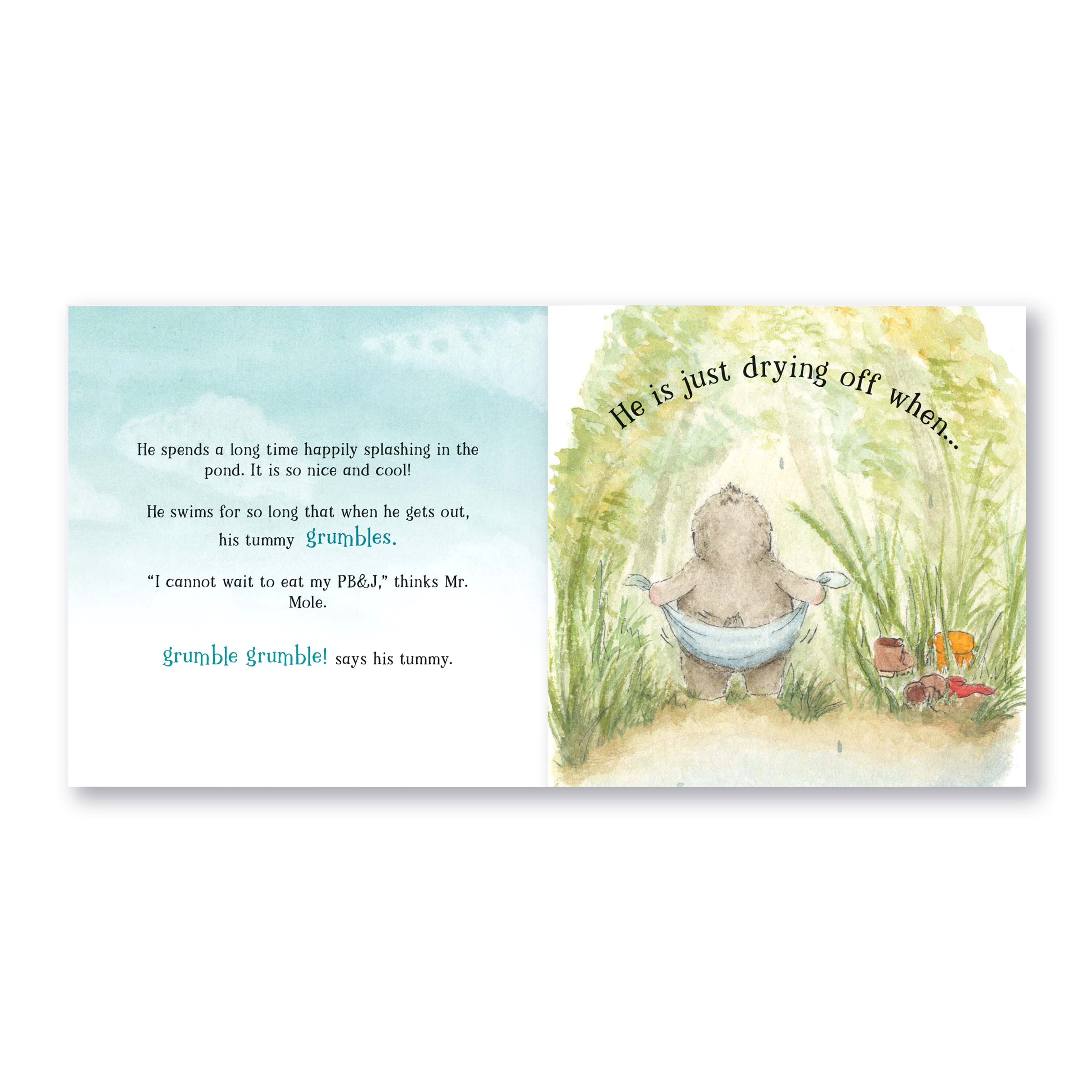 Hello, Mr. Mole! - Children's Book Paperback