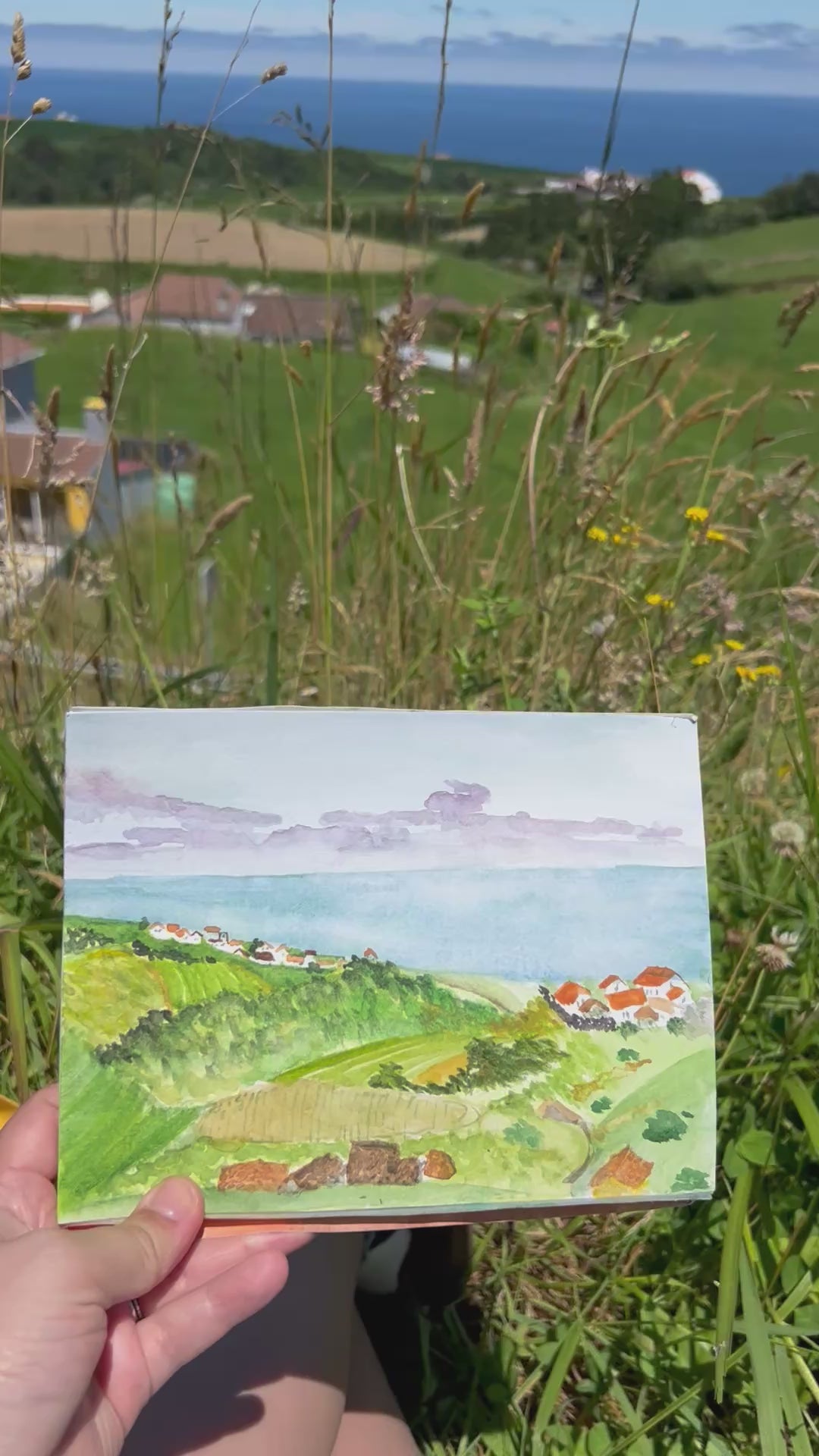 A video on location of the artwork.